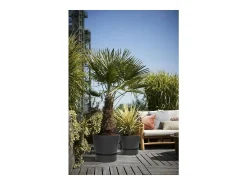 Macetero redondo 25 - Exterior Ø 24,48 x 23,31 cm - Living negro