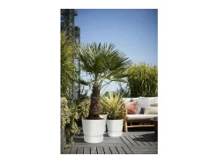 Macetero redondo 30 - Exterior Ø 29,5 x 27,8 cm - Blanco