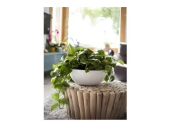 Macetero redondo de plástico Graphit Up blanco lima Ø 40 cm 14,9 L