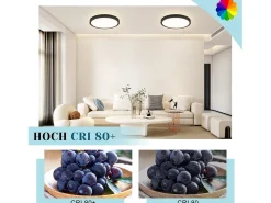 NETTLIFE - Lámpara de techo con LED plano, 18 cm - 15 W, negro, 4000 K - Iluminación moderna para la cocina, el pasillo y el dormitorio.