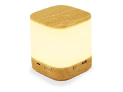 NETTLIFE - Pack de 2 lámparas de mesa LED con 3 temperaturas de color, lámpara de noche, batería de 3600 mAh, carga USB