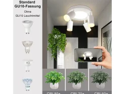 NETTLIFE Foco de techo 4 focos redondo 20W 3000K GU10 fácil instalación blanco cálido orientable 350° moderno