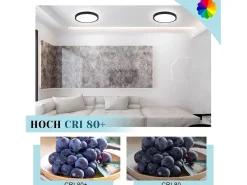 NETTLIFE LED - Iluminación de techo, plana, 18 cm - 15 W, negro, 6000 K - Iluminación moderna para la cocina, el pasillo, el dormitorio.