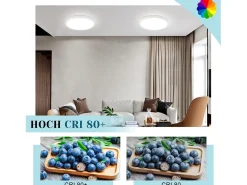 NETTLIFE, LED - Luz de techo, plana, 18 cm - 15 W, blanca, 6000 K - Iluminación moderna para la cocina, el pasillo, el dormitorio