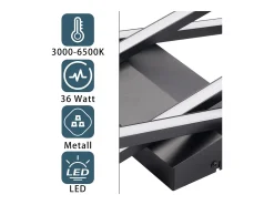 NETTLIFE LED Deckenleuchte Wohnzimmer Schwarz 36W Dimmbar Deckenlampe Büro Kinderzimmer