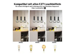 NETTLIFE Lámpara colgante vintage de 3 llamas de cristal E27, lámpara de comedor de altura ajustable industrial