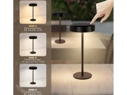 NETTLIFE Lámpara de mesa con batería solar lámpara de noche LED inalámbrica recargable de 3600 mhA táctil regulable lámpara negra con batería USB