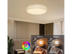 NETTLIFE Lámpara de Techo LED Ø 27 cm Lámpara Moderna de Cielo Estrellado para Dormitorio Lámpara Blanca Cálida de 12 W Lámpara Redonda de para