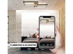 NETTLIFE Lámpara de Techo LED Regulable con Control Remoto 40W Lámpara de Dormitorio de Diseño Moderno de Metal Lámpara de para Dormitorio