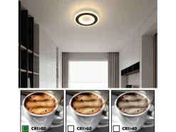 NETTLIFE Lámpara de Techo LED 23W Negro Redondo Moderno Blanco Cálido 24cm Lámpara de Dormitorio para Cocina Pasillo Sala de Estar