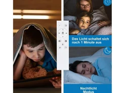 NETTLIFE Lámpara de Techo LED Lámpara de Negra 33 W Regulable con Control Remoto Lámpara de Diseño Moderno Lámpara Redonda para Dormitorio