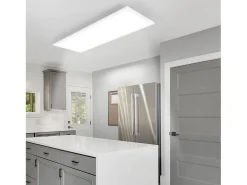NETTLIFE Lámpara de Techo LED, 80 x 30 cm, 39W, 3000K Regulable, Plana, Lámpara con Control Remoto, Panel, Blanco, Lámpara de Escritorio para Cocina