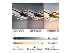 NETTLIFE Lámpara techo ajustable 100x70x8cm, 3 LED negras cuadradas, Control remoto, Iluminación acrílica 88W