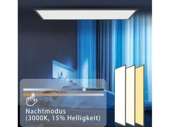 NETTLIFE Plafonero LED 120 x 30 - Panel de techo de intensidad variable, lámpara de luz diurna larga, escritorio plano con mando a distancia, 40 W