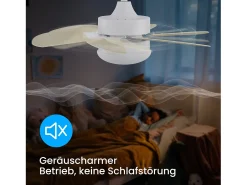 NETTLIFE Ventilador de techo con luz, mando a distancia, silencioso, con temporizador, 6 aspas, para dormitorio