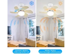 NETTLIFE Ventilador de techo con luz, mando a distancia, silencioso, con temporizador, 6 aspas, para dormitorio