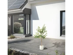 Olivo artificial Plantas artificiales Árbol artificial Planta artificial en mace