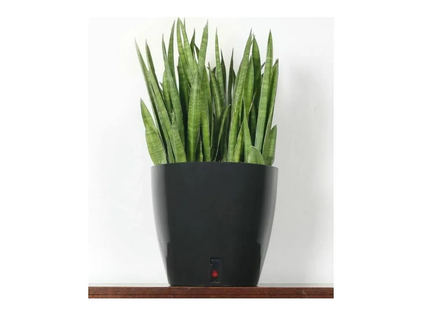 Olla redonda de plástico con reserva de agua 35 cm Eva