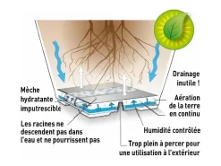 Olla redonda de plástico con reserva de agua 35 cm Eva