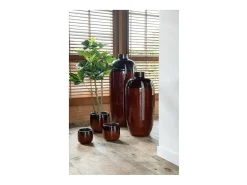 Pachira en maceta de plástico verde 27x27x110 cm