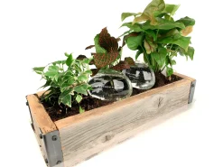 Piedras de riego para plantas