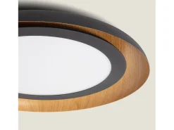 Plafón de Techo LED 30W Metal Garter Negro Mate