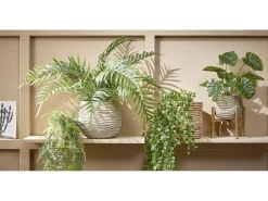 Planta artificial colgante de Polipropileno - 24 x 10 x 81 - Verde - FICUS