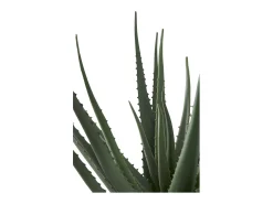 Planta artificial de aloe vera verde 51 cm