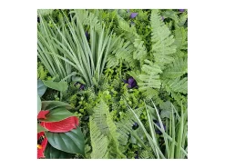 Planta artificial de pared - Modelo flor roja - Dimensiones : 100 x 100 cm