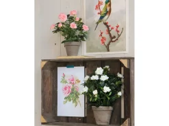 Planta artificial de Poliéster y terracota - Ø25 x 33 - Blanco - ROSEBUSH