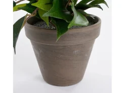 Planta artificial de Poliéster y terracota - Ø30 x 40 - Verde - FICUS NATASJA