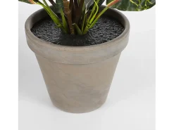 Planta artificial de Poliéster y terracota - 73 x Ø40 - Verde - CROTON