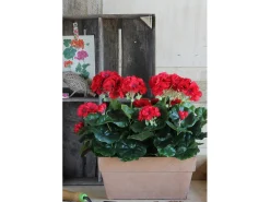 Planta artificial de Poliéster y cemento con arena - 29 x 13 x 40 - Rojo - GERANIUM