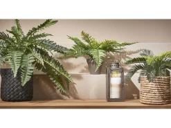 Planta artificial de PVC y Terracota - 33 x Ø34 - Verde - CYCAS PALM