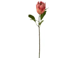 Rama de protea de plástico rojo de 20x11x67 cm