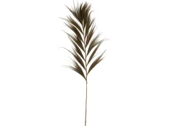 Ramas de hierbas en madera natural 91x14x232 cm