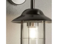 Searchlight Genoa 1 ljus utomhus Fisherman Dome vgglampa i rostfritt stl IP44 glaslyktor, E27