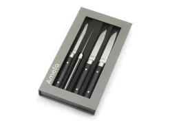 Set de 4 cuchillos para carne Fusion Noir - Hoja lisa y mango de ABS - 22 cm