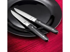 Set de 4 cuchillos para carne Fusion Noir - Hoja lisa y mango de ABS - 22 cm
