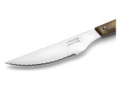 Set de Cuchillos Arcos 11 cm Madera Acero Inoxidable 6 Piezas