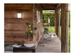 TechBrey Aplique de Pared Exterior LED 6W PHILIPS Antelope