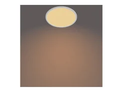 TechBrey Plafón LED 22W PHILIPS CL550 SuperSlim IP20 Regulable 3 Niveles
