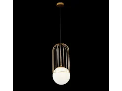 Telford Lámpara Colgante de Techo Cage Oro, 1 Luz, E27