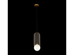 Telford Lámpara Colgante de Techo Cage Oro, 1 Luz, G9