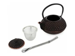 Tetera china de hierro fundido Sui 0,8 L + pajita de acero inoxidable con filtro