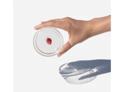 Zafferano Teca Frutta - Juego de 6 Vasos de Vidrio Borosilicato con Fresa - Vaso de 35 cl Doble Fondo Decorado a Mano, Fácilmente Lavable